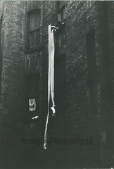 People hanging toilet paper in window vintage art photo by A. Bruce Goldman