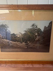 c.1900 Hand-Tinted Albumen Photograph Indigenous Landscape in Burr-Walnut Frame