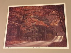 Bill Coleman Signed Amish No 58 Matted & Framed Photograph Autumn Bliss
