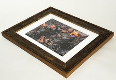 RODNEY LOUGH JR ORIG FRAMED GICLEE PHOTOGRAPH POINT REYES CALIFORNIA TIDE POOLS