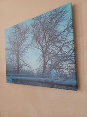Original Photo Canvas Print. Titled «Winter Morning.» 16×20 Inches.