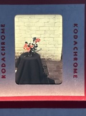 Kodachrome Red Border Lot Of 40 1950’s Still Life Flowers 35mm Color Slides B