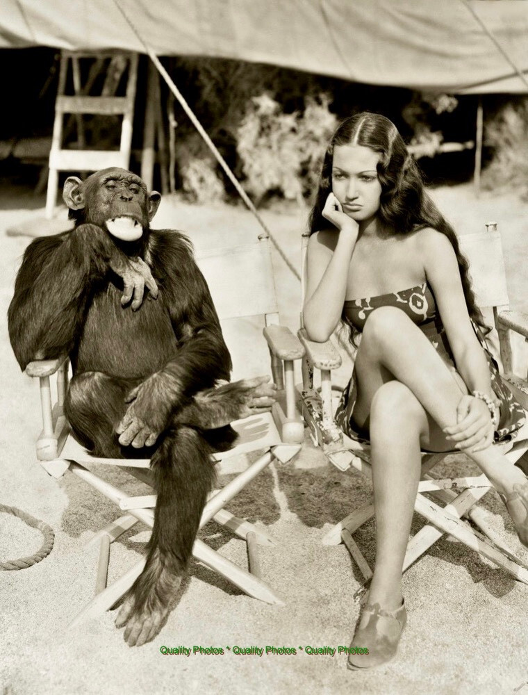 Dorothy Lamour and Jiggs the Chimpanzee 8.5×11″ Photo Print Movie Star Publicity