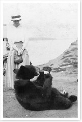 Alaska Bear Cub Drinking From Bottle Early 1900’s Vintage Silver Halide Photo