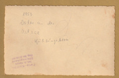 Photo polar bear Baltic Sea Kühlungsborn 1953 original photo approx. 13 cm x 8.5 cm