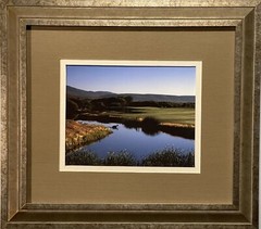 Custom framed photograph of a deer crossing a pond