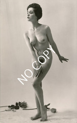 Photo art nude photo woman nude women art circa 1960. Unique X182