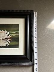ORIGINAL R VAN LOO JR WATER LILLY SIGNED PHOTO PRINT FRAMED AND MATTED 13″x11″