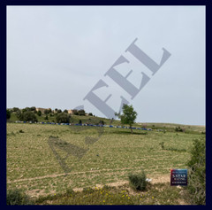 Scenic Farmland with Rolling Hills in Siliana – Ideal for Nature and Landscape-8