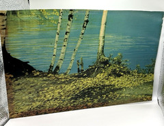 Helmscene Partial Pictures (3pcs) for Craft or Your own Lighted picture Frame