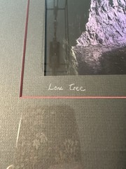 Hand Tinted Framed Photography “Lone Tree” by Susan Rigdon & Bill Ervin Signed