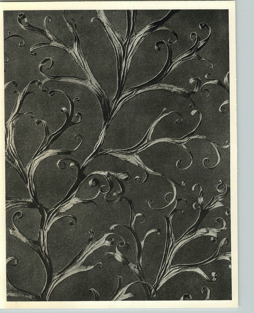 1942 Original BOTANICAL PLANT Delphinium Flower Photo Art KARL BLOSSFELDT