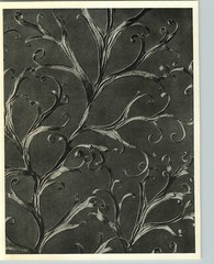 1942 Original BOTANICAL PLANT Delphinium Flower Photo Art KARL BLOSSFELDT