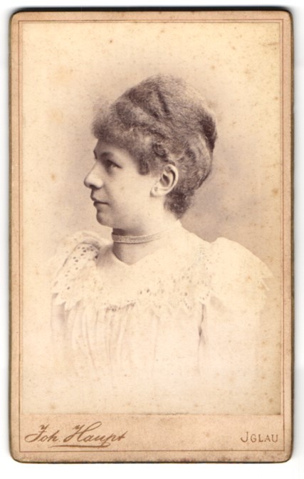 Photograph Joh. Haupt, Iglau, Tiefgasse 11, profile view of a woman with highs