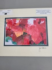 Photography Print By John T Slonina Matted 8×10 «Snow Leaves»-Read Description