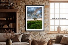 Country Photography Print – Vertical Picture of Tree Under Stormy Sky in Kansas