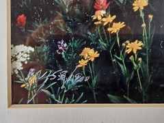 Signed Limited Edition Aaron Goldenberg 35mm Art Photograph, Utah 39×24 Framed