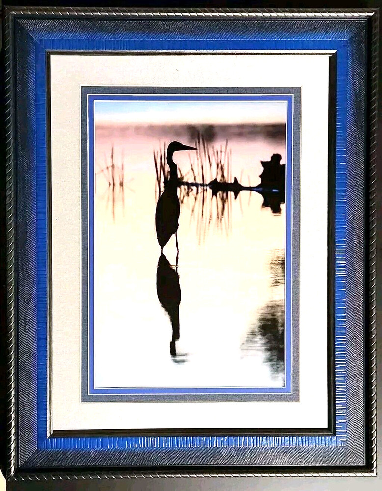 Fine Art Original Wild Bird Crane on Lake Color Photo 23″W x 29″H