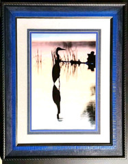 Fine Art Original Wild Bird Crane on Lake Color Photo 23″W x 29″H