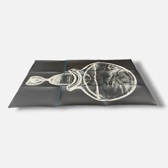 Sylvie Bussières «Sèrie Inutiles de Cristal» Foto No.3 Photogram Mural Wall Art