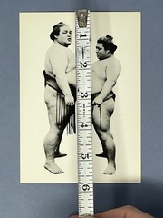 Sumo Wrestlers Art Photo Print Card Fotofolio 4.25”x6” Japan c. 1905