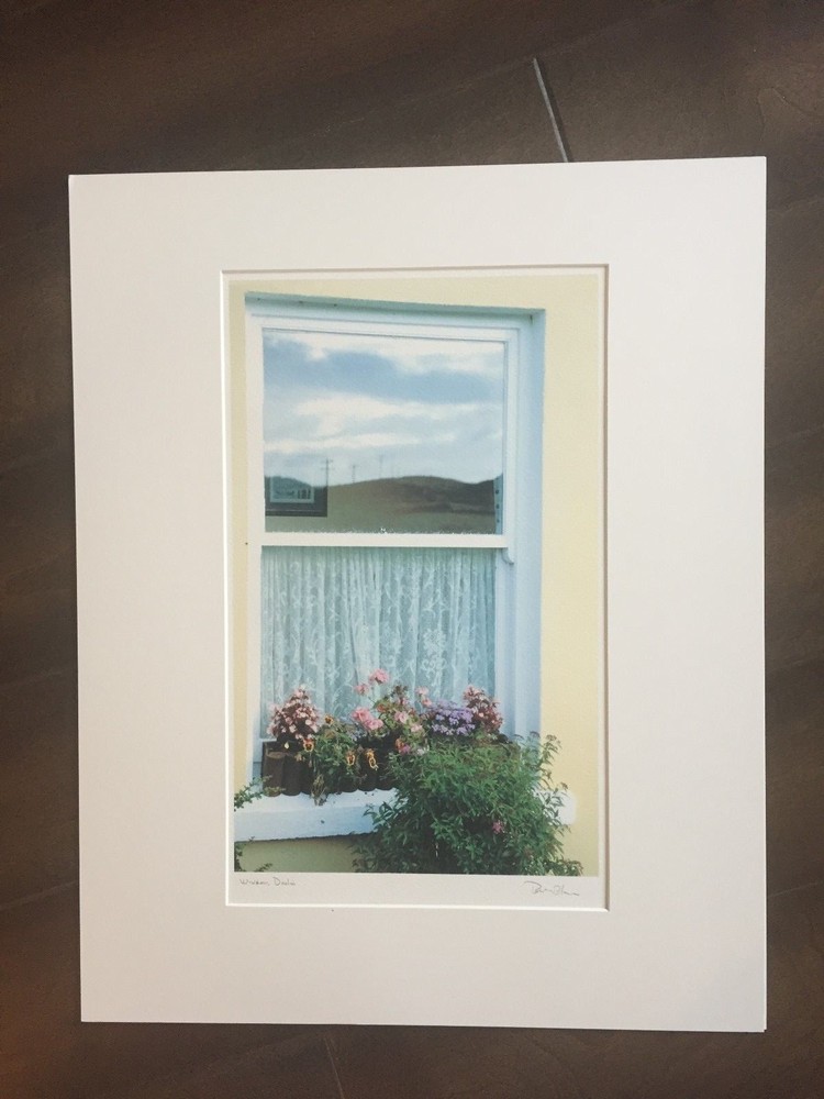 BRUCE BLUM SIGNED COLOR Photo Print (16″X 20″)-«Window Dalias «