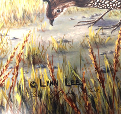 3 VTG Bird Photographs Pictures Signed, Limited Editions Quail Chickadee Nature