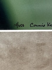 Hummingbird Landing 8×10 Photograph signed Connie Keesling 2004 14/250 Beautiful