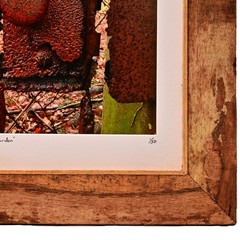 MICHAEL RAY Original Vintage Signed NY Secret Garden Landscape Photograph Print