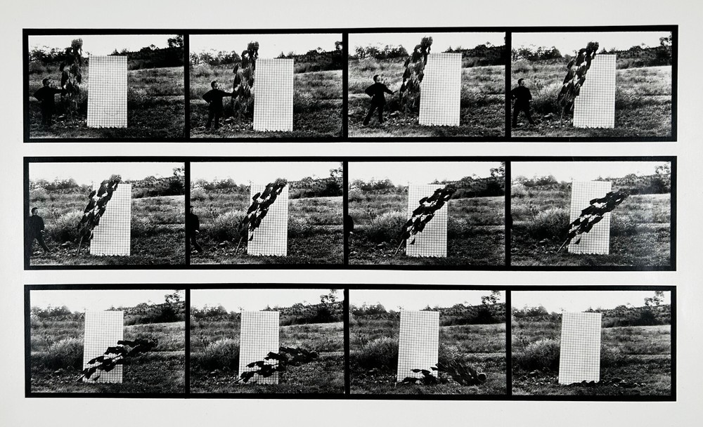 Hollis FRAMPTON & Marion FALLER: Sunflower, From Vegetable Locomotion 1975