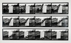 Hollis FRAMPTON & Marion FALLER: Sunflower, From Vegetable Locomotion 1975