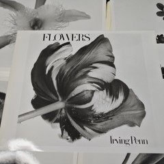 Irving Penn Flowers Press Release With Photos