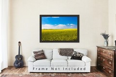 Country Photography Print – Picture of Rolling Fields of Canola in Oklahoma