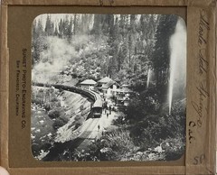 Gilbert? Hassell / Northern California Magic Lanterns Agricultural Big Trees