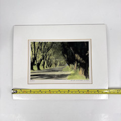 William Thayer Shady Lane Signed Art Photo Hand Colored Matted 6/250 in Plastic