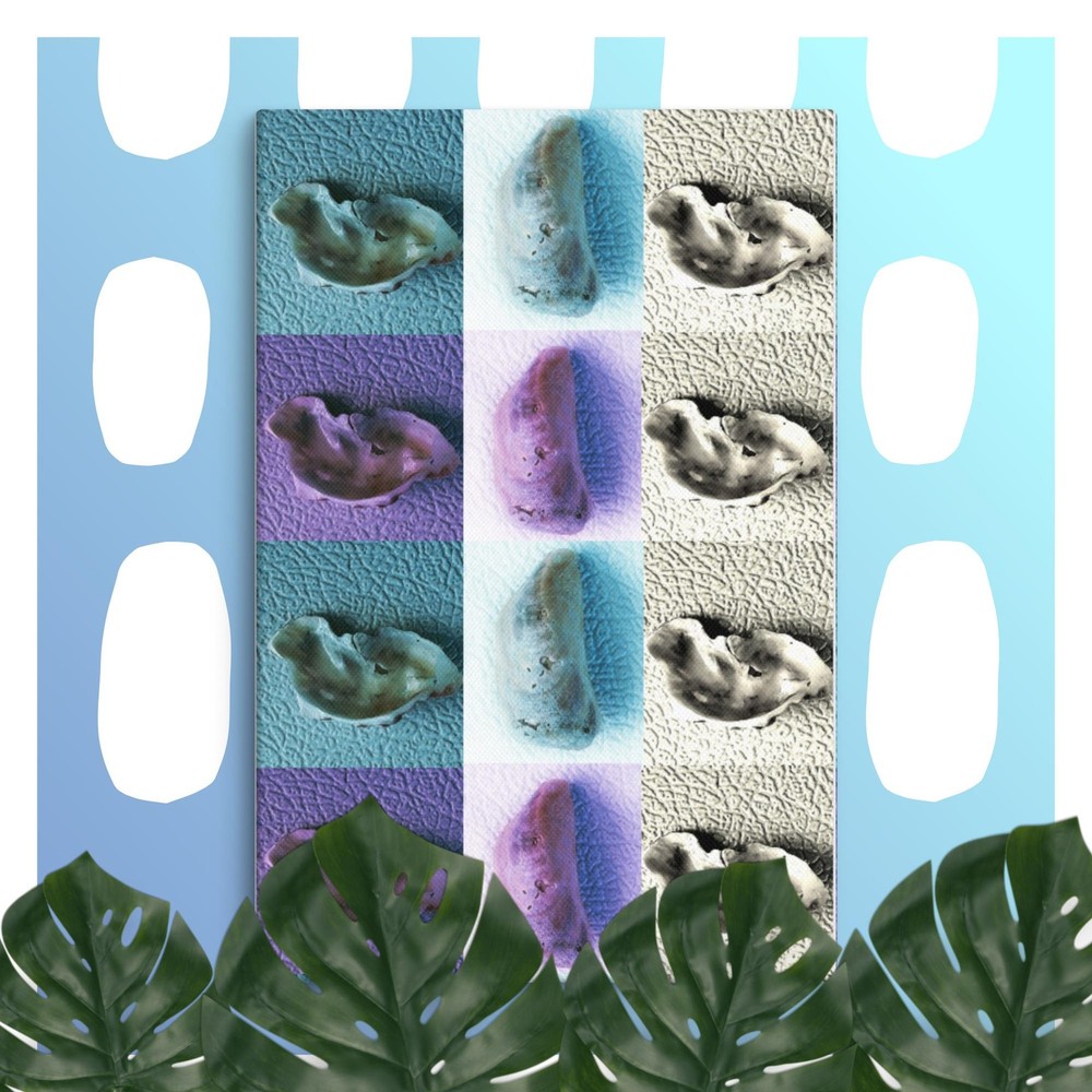 Shell Collage Canvas