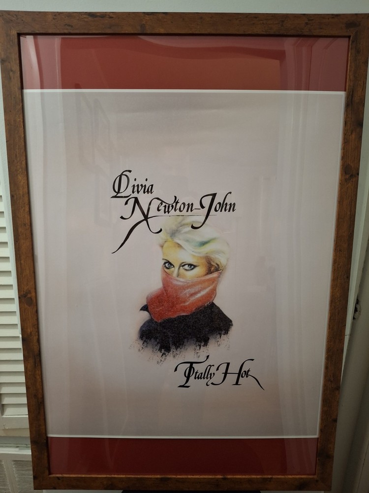 Xanadu Olivia Newton newton John 38 / 26 framed and ready to hang