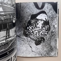 Daido Moriyama 2008 Fondation Cartier Paris Exhibition Catalog