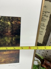Jerry Jernigan Photography Framed And Matted “ Tranquility “ Creek With Ducks