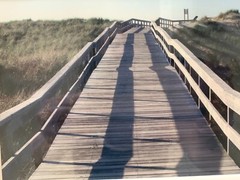 Grouping Trio Wall Art Fall Trees, Lake Ocean Boardwalk Photo Art Signed Framed