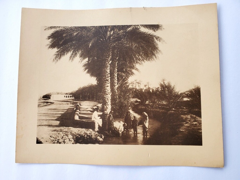 Vintage Photogravure of Biskra Algeria North Africa Oasis