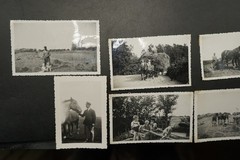 Photo Bundle Lot Farmer Champion Sonderburg Technique Horse Field Work