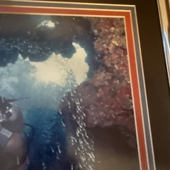 Diving With Fish Framed Photograph Cayman Islands 14” X 12” 1990’s