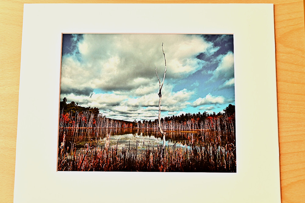 NATURAL ELEMENTS- PHOTOGRAPHS #2