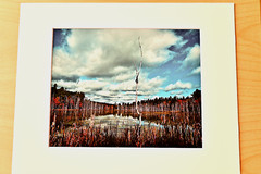 NATURAL ELEMENTS- PHOTOGRAPHS #2