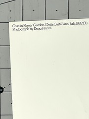 Doug Prince (b. 1943) Case In Flower Garden – 1983 Witkin Gallery Art Photo Card