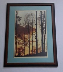 Framed Limited Edition Photograph — Sunset Silhouette Forest — Signed & Numbered