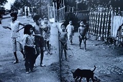 Daido Moriyama THE TROPICS Photobook New Unused Japan Aperture Style