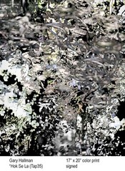 Gary Hallman «Hok Se La (Tap35)» – 17×20″ color print – signed