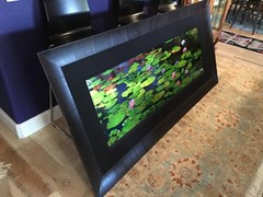 Peter Lik «Awaken» Signed, Limited Edition, Framed Photograph! #89/950 1.5M!